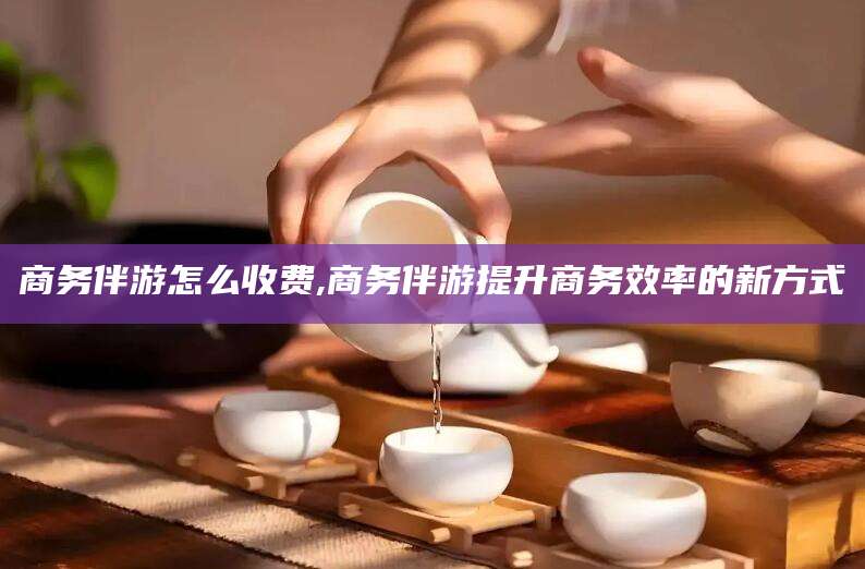 和县商务伴游怎么收费,商务伴游提升商务效率的新方式